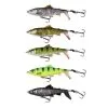 Savage Gear - Kunstaas SG 3D SmashTail 10cm 17g - Savage Gear 1 Savage Gear - Kunstaas SG 3D SmashTail 10cm 17g - Savage Gear -Sensas Winkel 1266228661