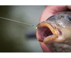 Matrix - Haken MXC-6 - Matrix 11 Matrix - Haken MXC-6 - Matrix -Sensas Winkel 1427859641