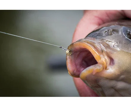 Matrix - Haken MXC-6 - Matrix 7 Matrix - Haken MXC-6 - Matrix - Afbeelding 5