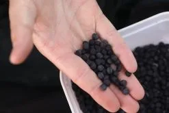 Fjuka - Pellets 2in1 - Fjuka -Sensas Winkel 1598508006