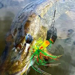 SPRO - Kunstaas Iris Baby Thrillseeker - 5 Gram - SPRO -Sensas Winkel 1797528897